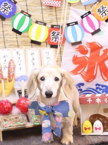 20240724マックくん